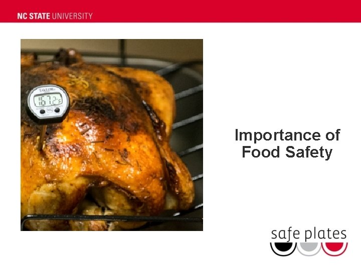 Importance of Food Safety 