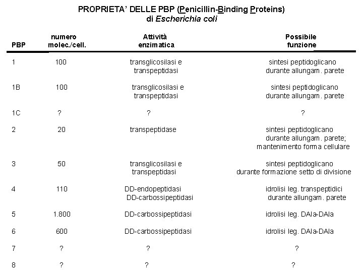 PROPRIETA’ DELLE PBP (Penicillin-Binding Proteins) di Escherichia coli PBP numero molec. /cell. Attività enzimatica