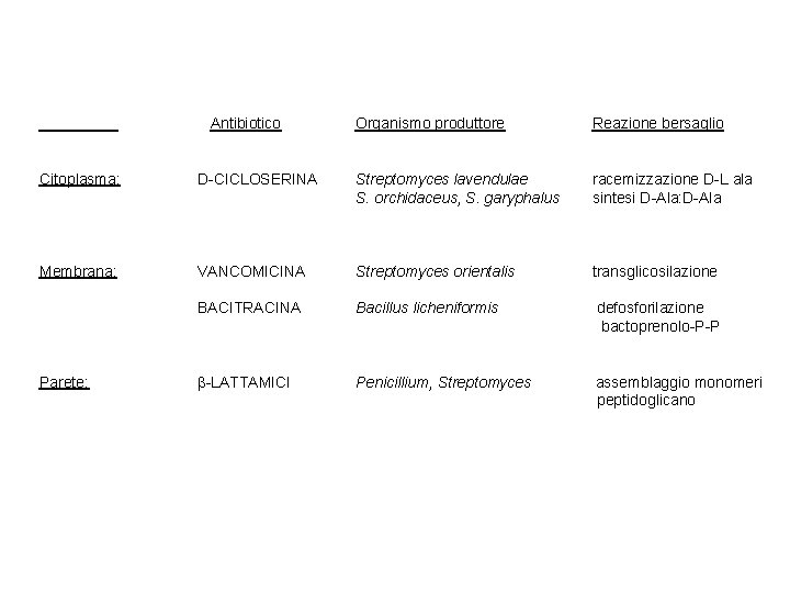 Antibiotico Organismo produttore Reazione bersaglio Citoplasma: D-CICLOSERINA Streptomyces lavendulae S. orchidaceus, S. garyphalus racemizzazione