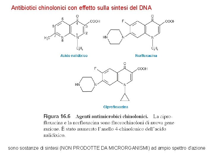 Antibiotici chinolonici con effetto sulla sintesi del DNA sono sostanze di sintesi (NON PRODOTTE