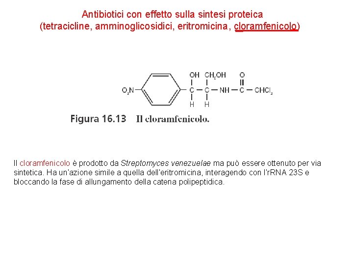Antibiotici con effetto sulla sintesi proteica (tetracicline, amminoglicosidici, eritromicina, cloramfenicolo) Il cloramfenicolo è prodotto