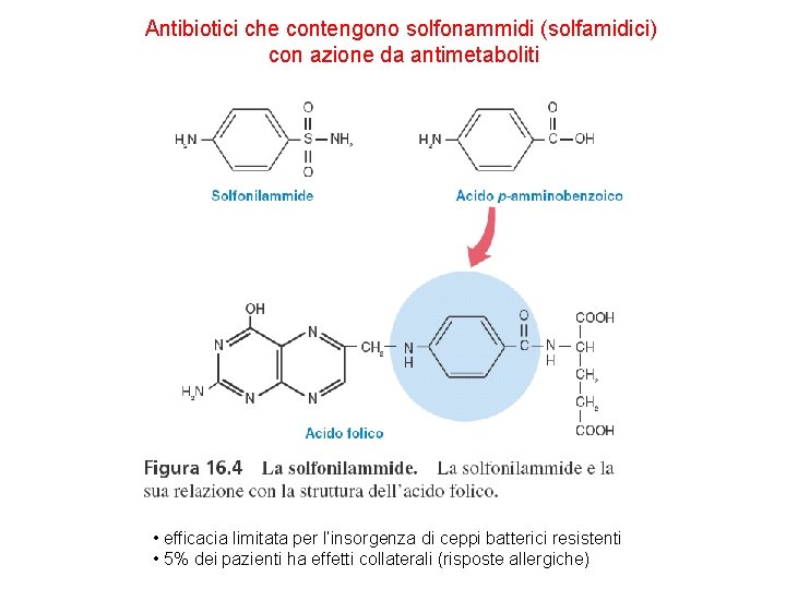 Antibiotici che contengono solfonammidi (solfamidici) con azione da antimetaboliti • efficacia limitata per l’insorgenza