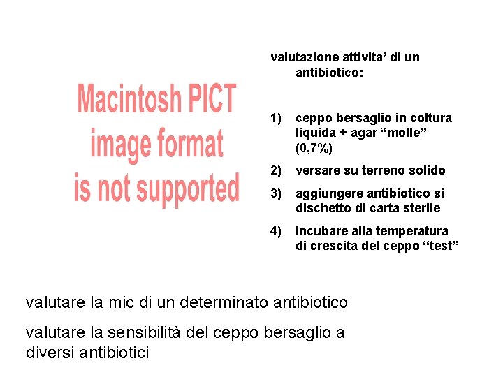 valutazione attivita’ di un antibiotico: 1) ceppo bersaglio in coltura liquida + agar “molle”