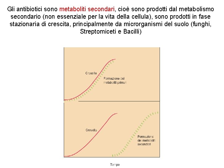 Gli antibiotici sono metaboliti secondari, cioè sono prodotti dal metabolismo secondario (non essenziale per