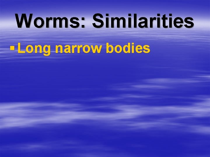 Worms: Similarities § Long narrow bodies 