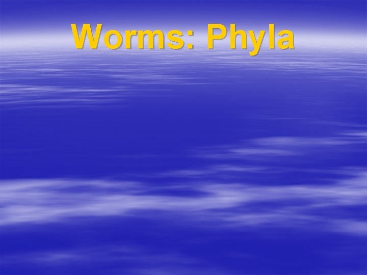 Worms: Phyla 