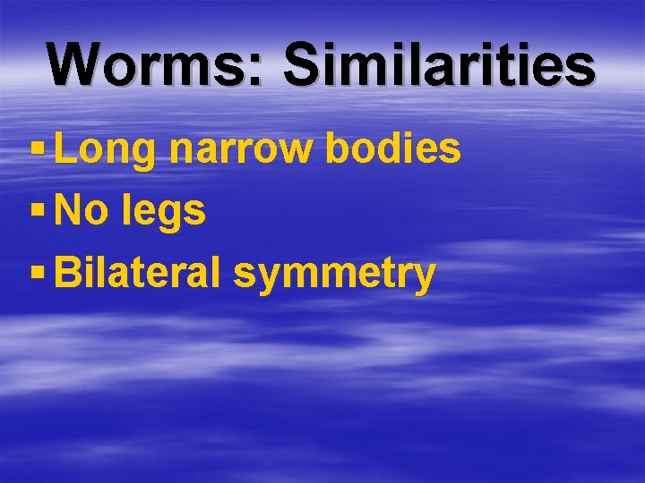Worms: Similarities § Long narrow bodies § No legs § Bilateral symmetry 