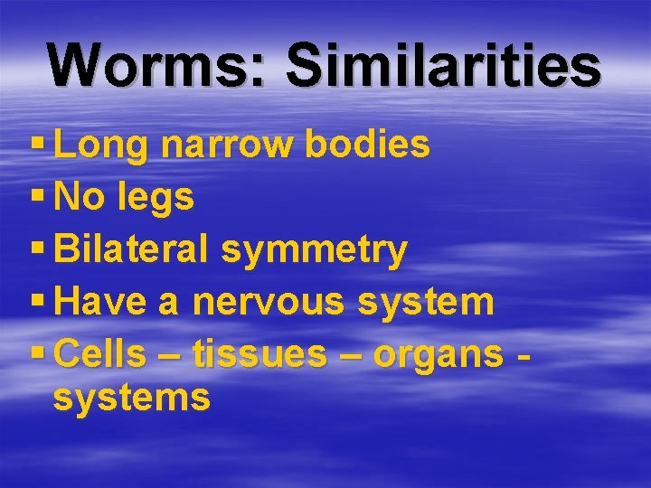 Worms: Similarities § Long narrow bodies § No legs § Bilateral symmetry § Have