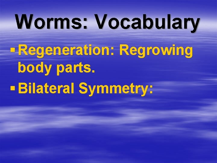 Worms: Vocabulary § Regeneration: Regrowing body parts. § Bilateral Symmetry: 
