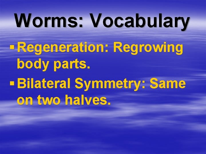 Worms: Vocabulary § Regeneration: Regrowing body parts. § Bilateral Symmetry: Same on two halves.