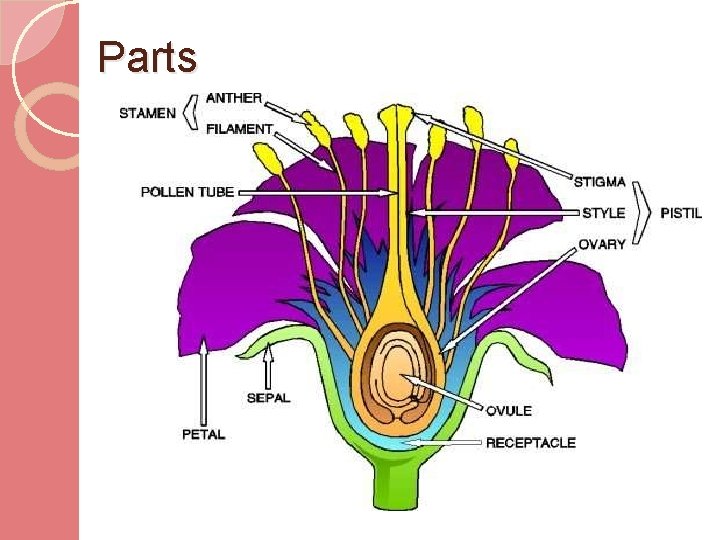 Parts 