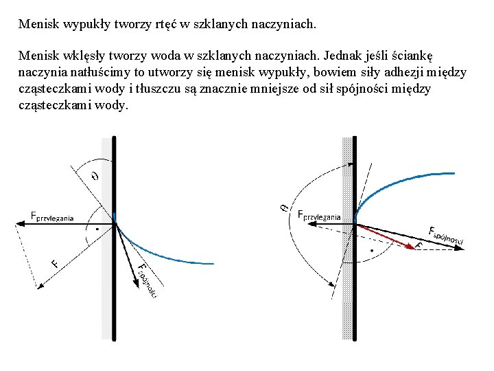 Menisk wypukły tworzy rtęć w szklanych naczyniach. Menisk wklęsły tworzy woda w szklanych naczyniach.