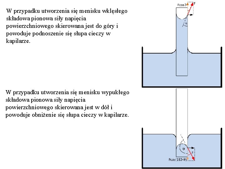 W przypadku utworzenia się menisku wklęsłego składowa pionowa siły napięcia powierzchniowego skierowana jest do