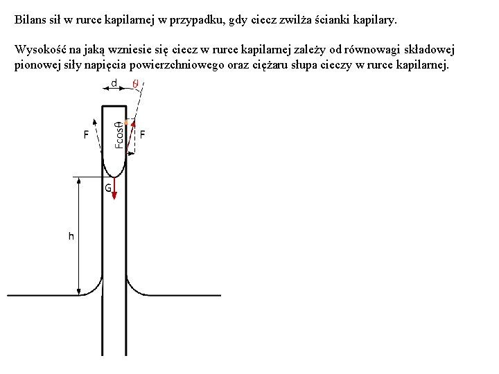 Bilans sił w rurce kapilarnej w przypadku, gdy ciecz zwilża ścianki kapilary. Wysokość na