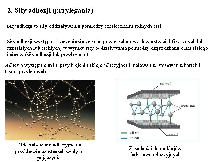 2. Siły adhezji (przylegania) Siły adhezji to siły oddziaływania pomiędzy cząsteczkami różnych ciał. Siły
