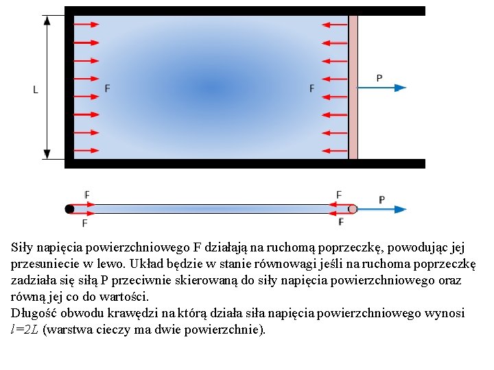 Siły napięcia powierzchniowego F działają na ruchomą poprzeczkę, powodując jej przesuniecie w lewo. Układ