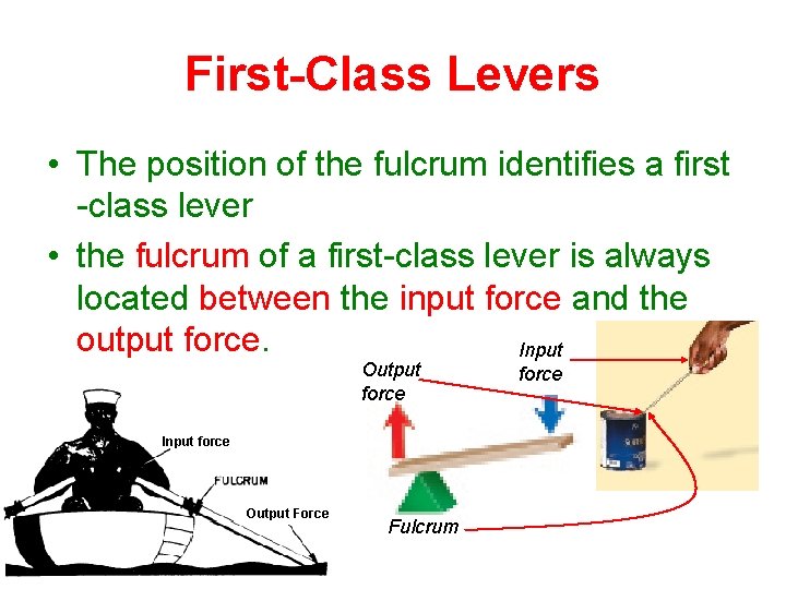 First-Class Levers • The position of the fulcrum identifies a first -class lever • First-Class Levers • The position of the fulcrum identifies a first -class lever •