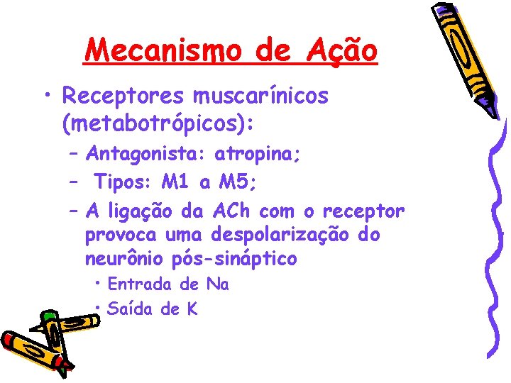 Mecanismo de Ação • Receptores muscarínicos (metabotrópicos): – Antagonista: atropina; – Tipos: M 1