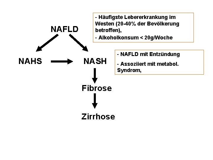 NAFLD NAHS - Häufigste Lebererkrankung im Westen (20 -40% der Bevölkerung betroffen), - Alkoholkonsum