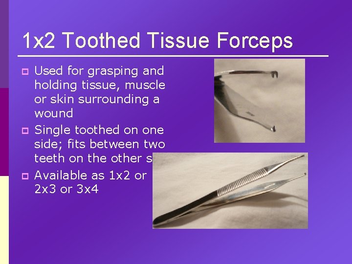 1 x 2 Toothed Tissue Forceps p p p Used for grasping and holding