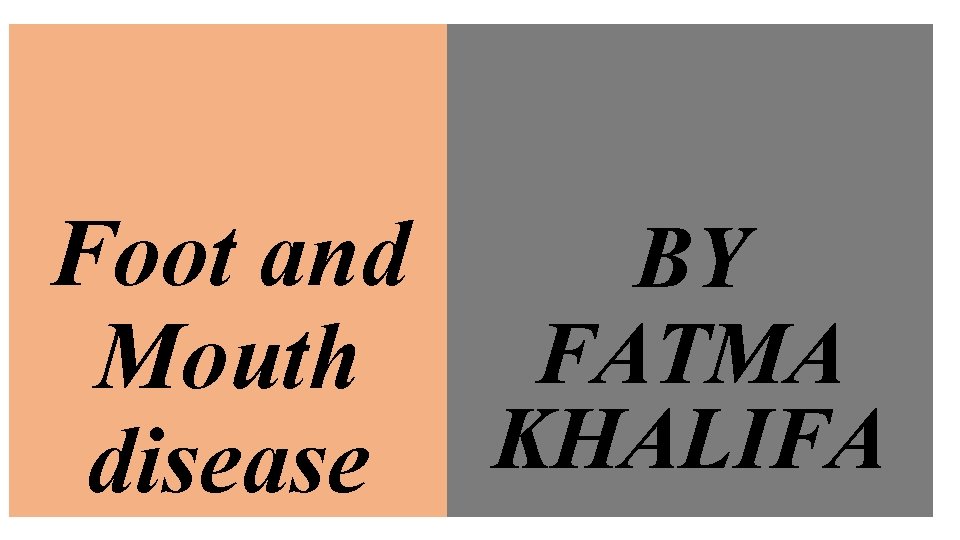 Foot and BY FATMA Mouth KHALIFA disease 