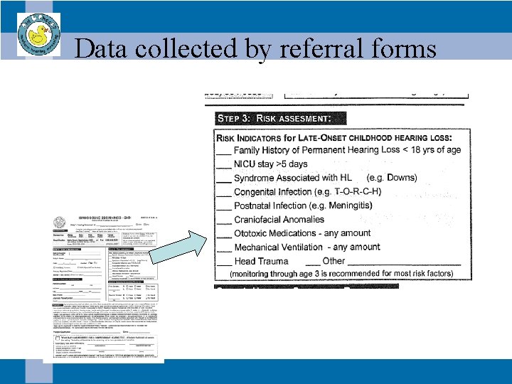 Data collected by referral forms 