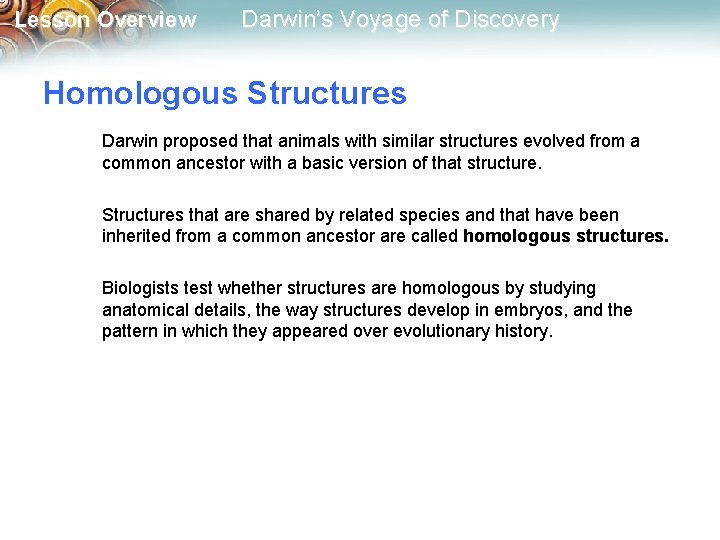 Lesson Overview Darwin’s Voyage of Discovery Homologous Structures Darwin proposed that animals with similar