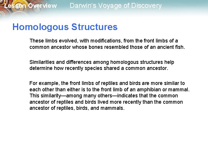 Lesson Overview Darwin’s Voyage of Discovery Homologous Structures These limbs evolved, with modifications, from
