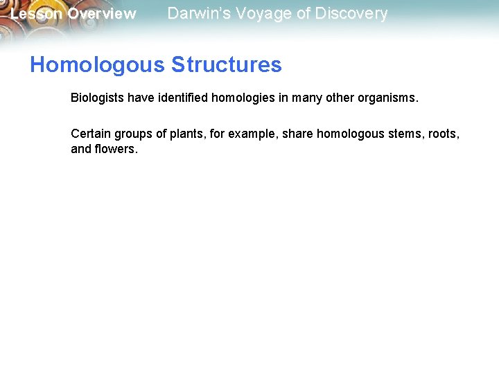 Lesson Overview Darwin’s Voyage of Discovery Homologous Structures Biologists have identified homologies in many