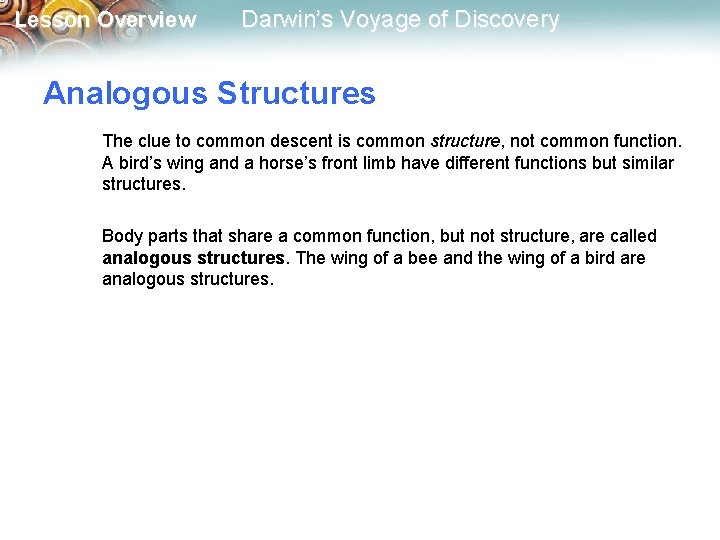 Lesson Overview Darwin’s Voyage of Discovery Analogous Structures The clue to common descent is