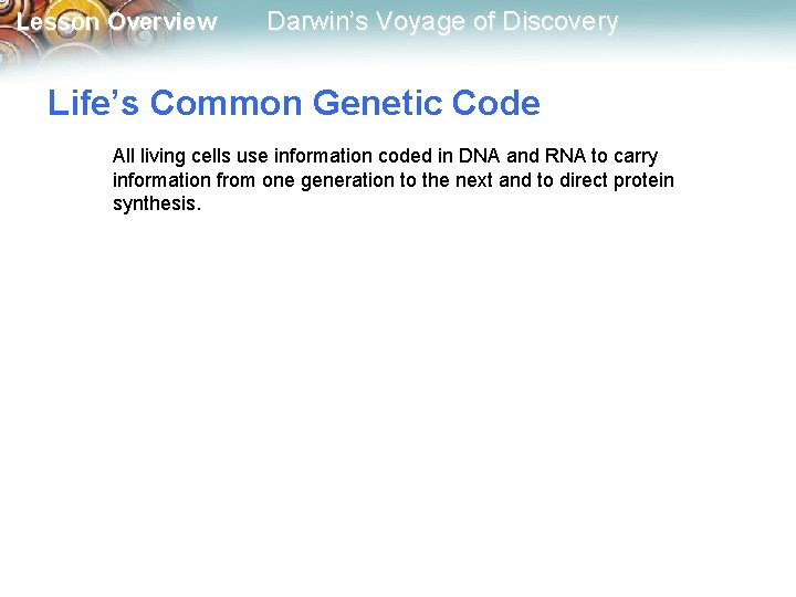 Lesson Overview Darwin’s Voyage of Discovery Life’s Common Genetic Code All living cells use