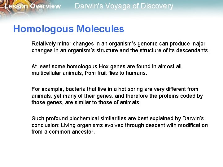 Lesson Overview Darwin’s Voyage of Discovery Homologous Molecules Relatively minor changes in an organism’s