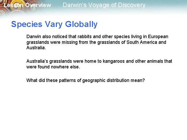 Lesson Overview Darwin’s Voyage of Discovery Species Vary Globally Darwin also noticed that rabbits