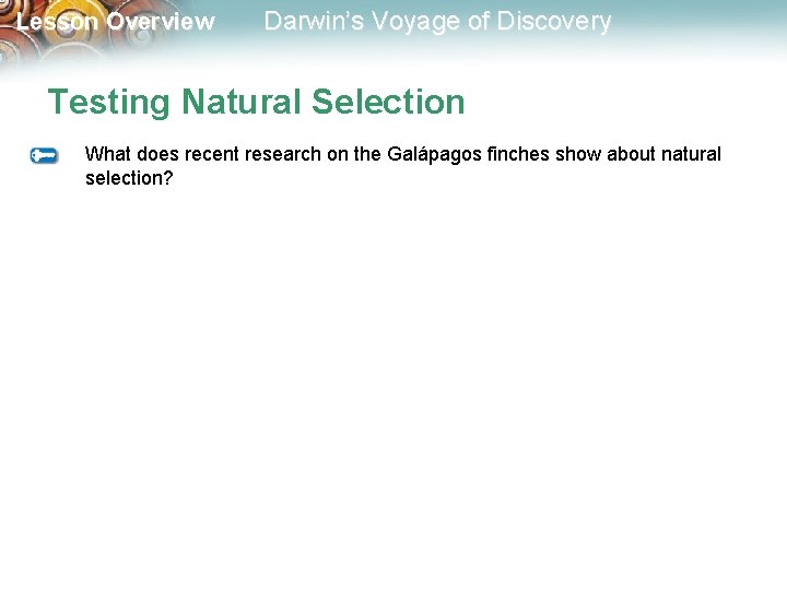 Lesson Overview Darwin’s Voyage of Discovery Testing Natural Selection What does recent research on