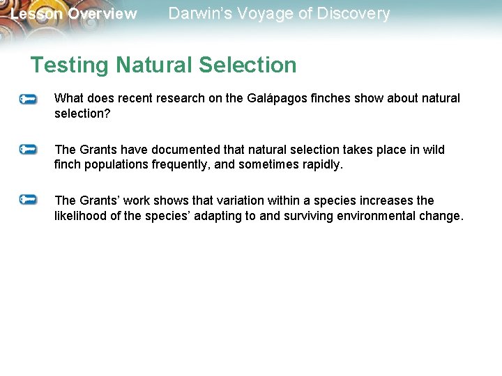 Lesson Overview Darwin’s Voyage of Discovery Testing Natural Selection What does recent research on