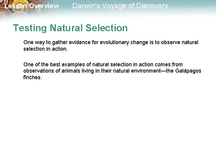 Lesson Overview Darwin’s Voyage of Discovery Testing Natural Selection One way to gather evidence
