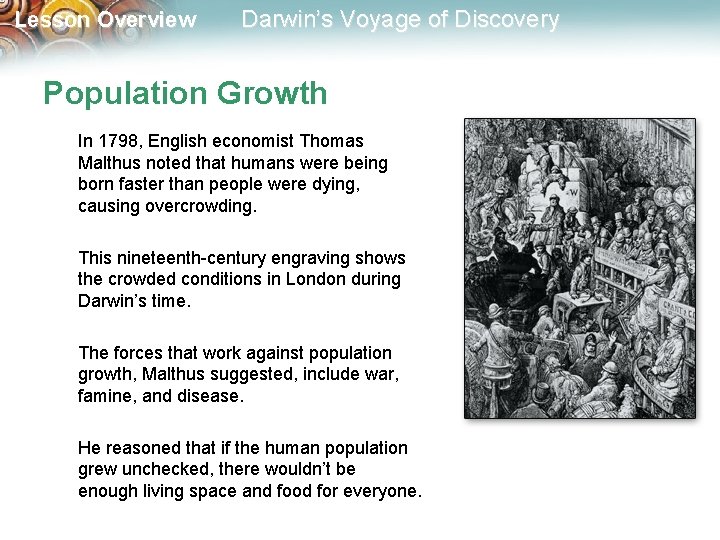 Lesson Overview Darwin’s Voyage of Discovery Population Growth In 1798, English economist Thomas Malthus