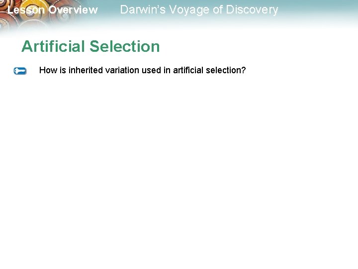 Lesson Overview Darwin’s Voyage of Discovery Artificial Selection How is inherited variation used in