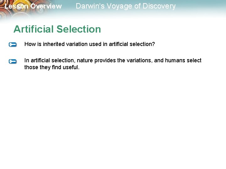 Lesson Overview Darwin’s Voyage of Discovery Artificial Selection How is inherited variation used in