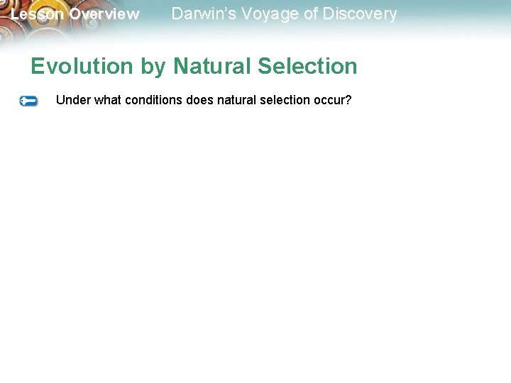 Lesson Overview Darwin’s Voyage of Discovery Evolution by Natural Selection Under what conditions does