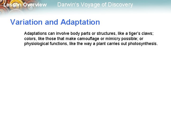 Lesson Overview Darwin’s Voyage of Discovery Variation and Adaptations can involve body parts or