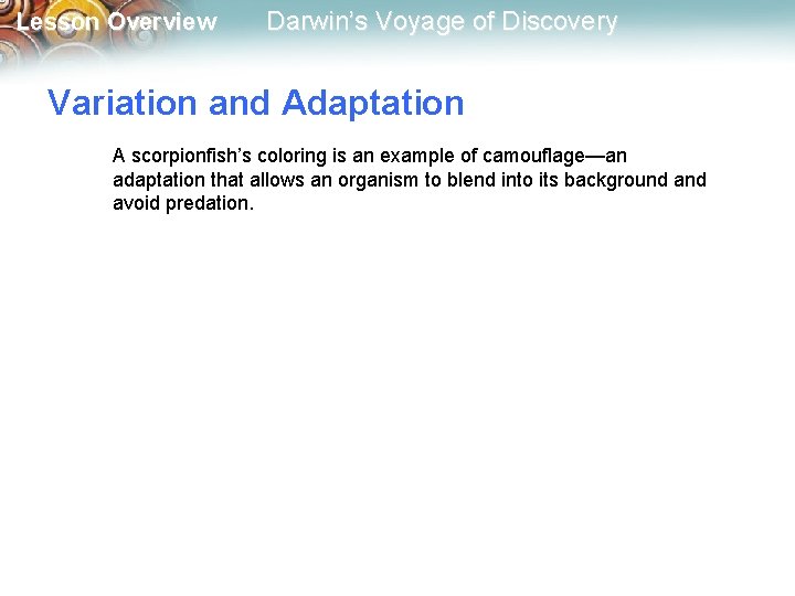 Lesson Overview Darwin’s Voyage of Discovery Variation and Adaptation A scorpionfish’s coloring is an