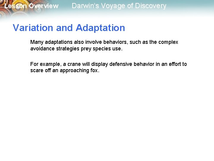 Lesson Overview Darwin’s Voyage of Discovery Variation and Adaptation Many adaptations also involve behaviors,