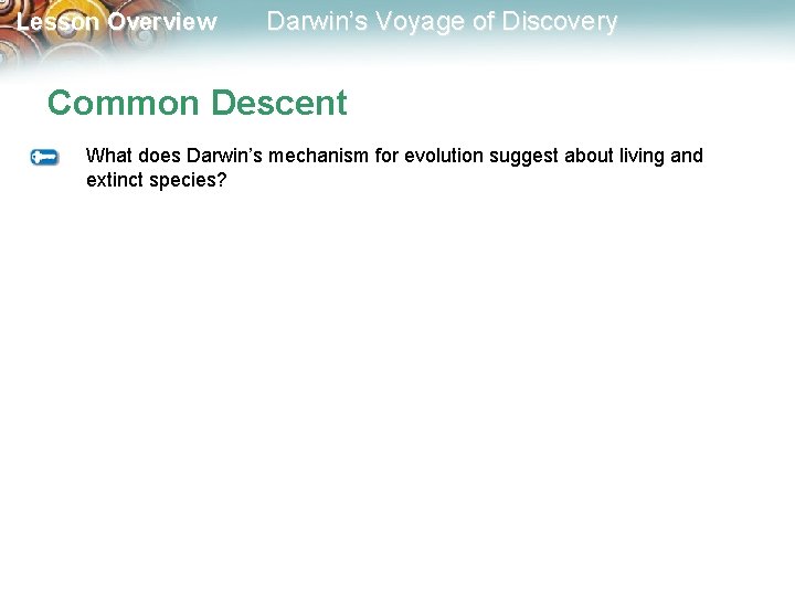 Lesson Overview Darwin’s Voyage of Discovery Common Descent What does Darwin’s mechanism for evolution