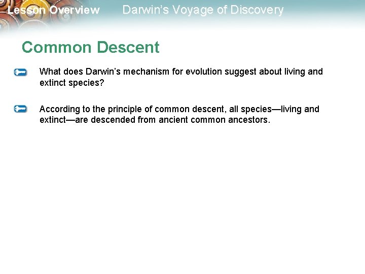 Lesson Overview Darwin’s Voyage of Discovery Common Descent What does Darwin’s mechanism for evolution