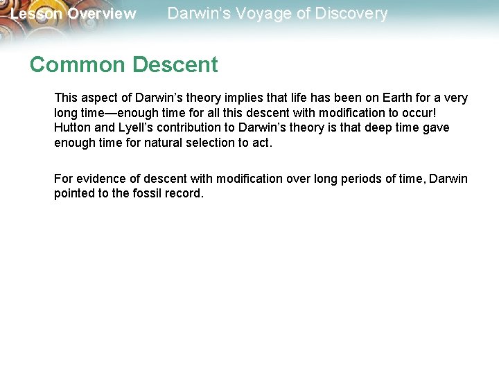 Lesson Overview Darwin’s Voyage of Discovery Common Descent This aspect of Darwin’s theory implies