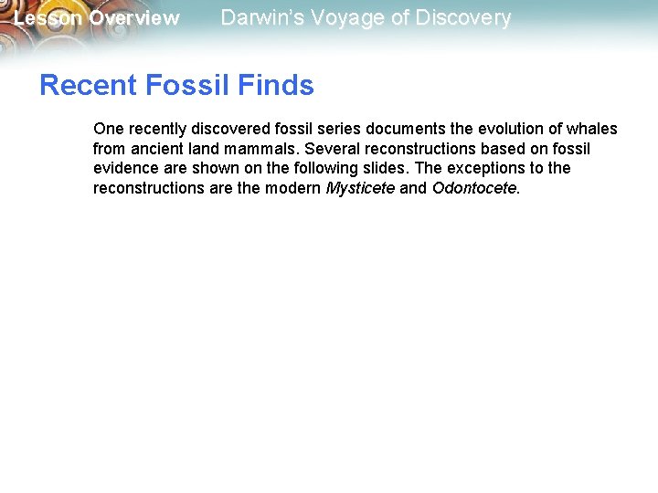 Lesson Overview Darwin’s Voyage of Discovery Recent Fossil Finds One recently discovered fossil series