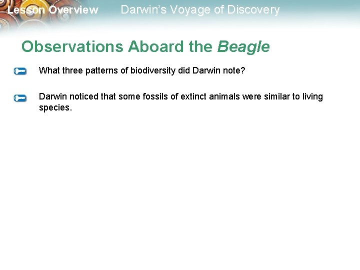 Lesson Overview Darwin’s Voyage of Discovery Observations Aboard the Beagle What three patterns of