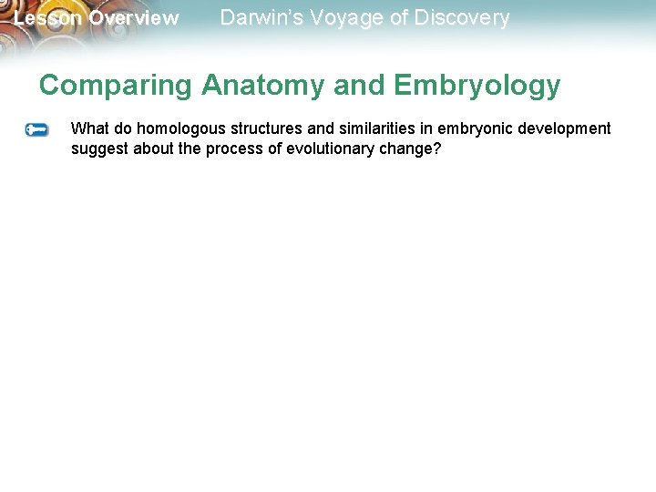 Lesson Overview Darwin’s Voyage of Discovery Comparing Anatomy and Embryology What do homologous structures