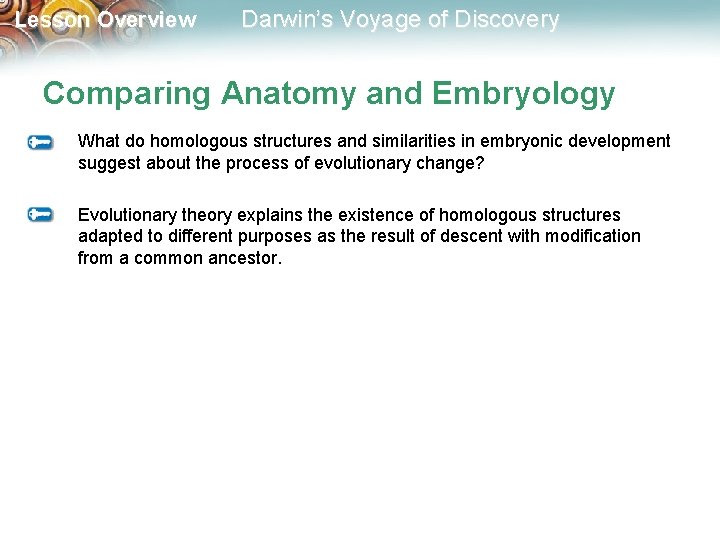 Lesson Overview Darwin’s Voyage of Discovery Comparing Anatomy and Embryology What do homologous structures